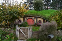 IMG_7306