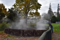 IMG_7383