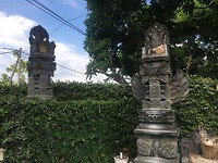 IMG_7439