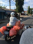 IMG_7457