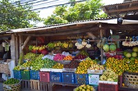 IMG_7490