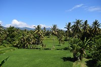 IMG_7495