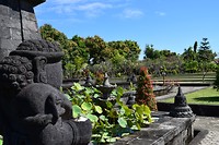 IMG_7499