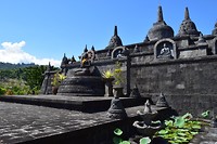 IMG_7501