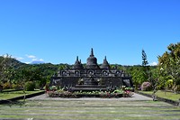 IMG_7504