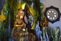 IMG_7507