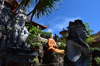 IMG_7517