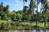 IMG_7530