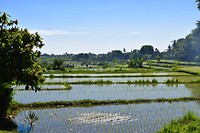 IMG_7532