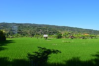 IMG_7550