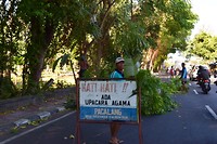 IMG_7554