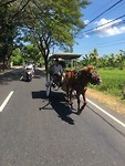 IMG_7616