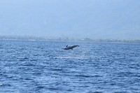 IMG_7640