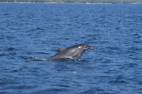 IMG_7642