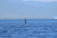 IMG_7645