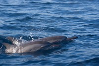 IMG_7656