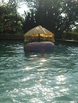 IMG_7674