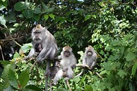IMG_7721