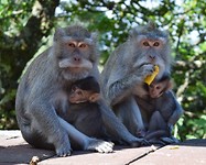 IMG_7726