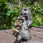IMG_7785