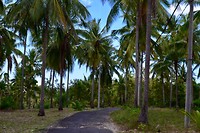 IMG_7819