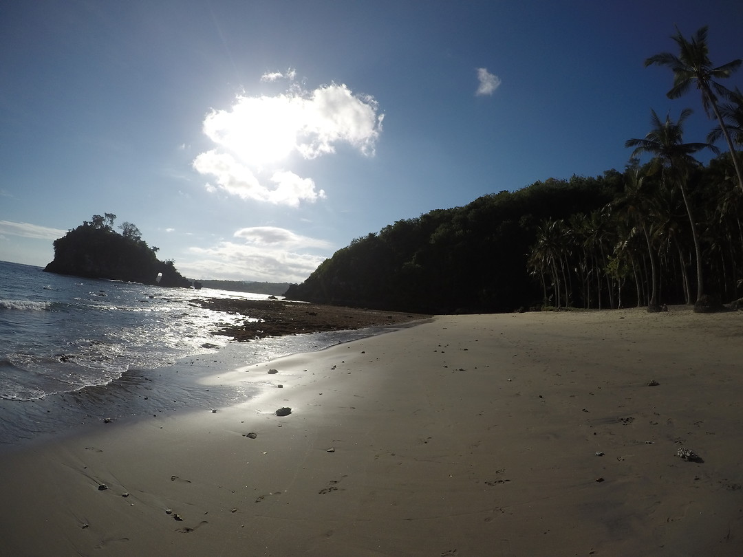 GPTempDownload