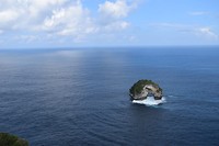 IMG_7891