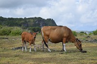 IMG_7894
