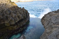 IMG_8192