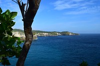 IMG_8202