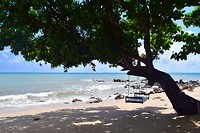 IMG_9212