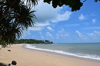IMG_9213