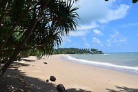 IMG_9219