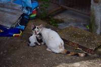IMG_9220
