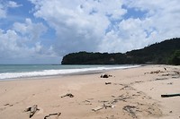 IMG_9226