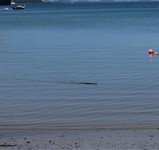 IMG_4063
