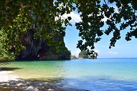 IMG_9469