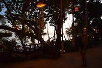 IMG_9678