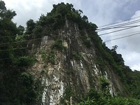 IMG_9250