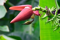 IMG_9401