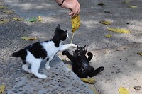 IMG_9407