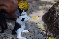 IMG_9417