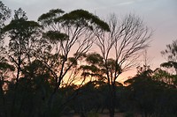 D56_0031