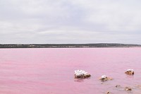 D56_0061