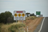 D56_0216