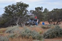 D56_0252