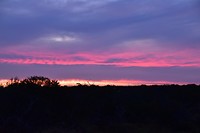D56_0258