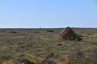 D56_0361
