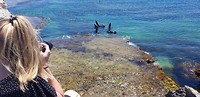 20181113_131743