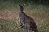 D56_0501_1